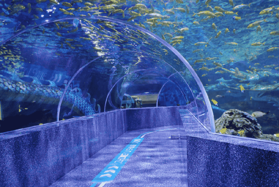 acrylic underwater tunnels.png