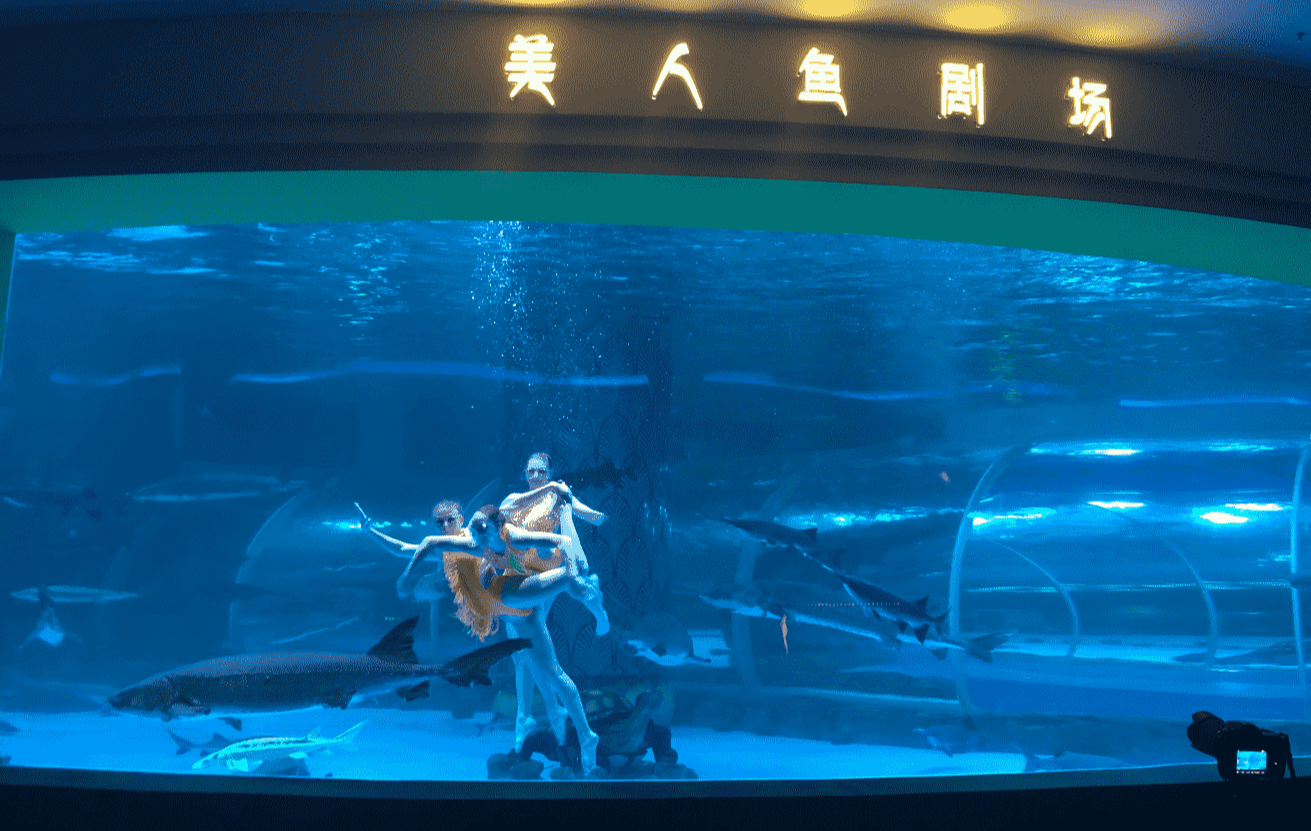 图片65.png