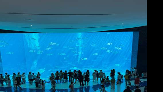 lanhu acrylic solved engineering challenges.jpg