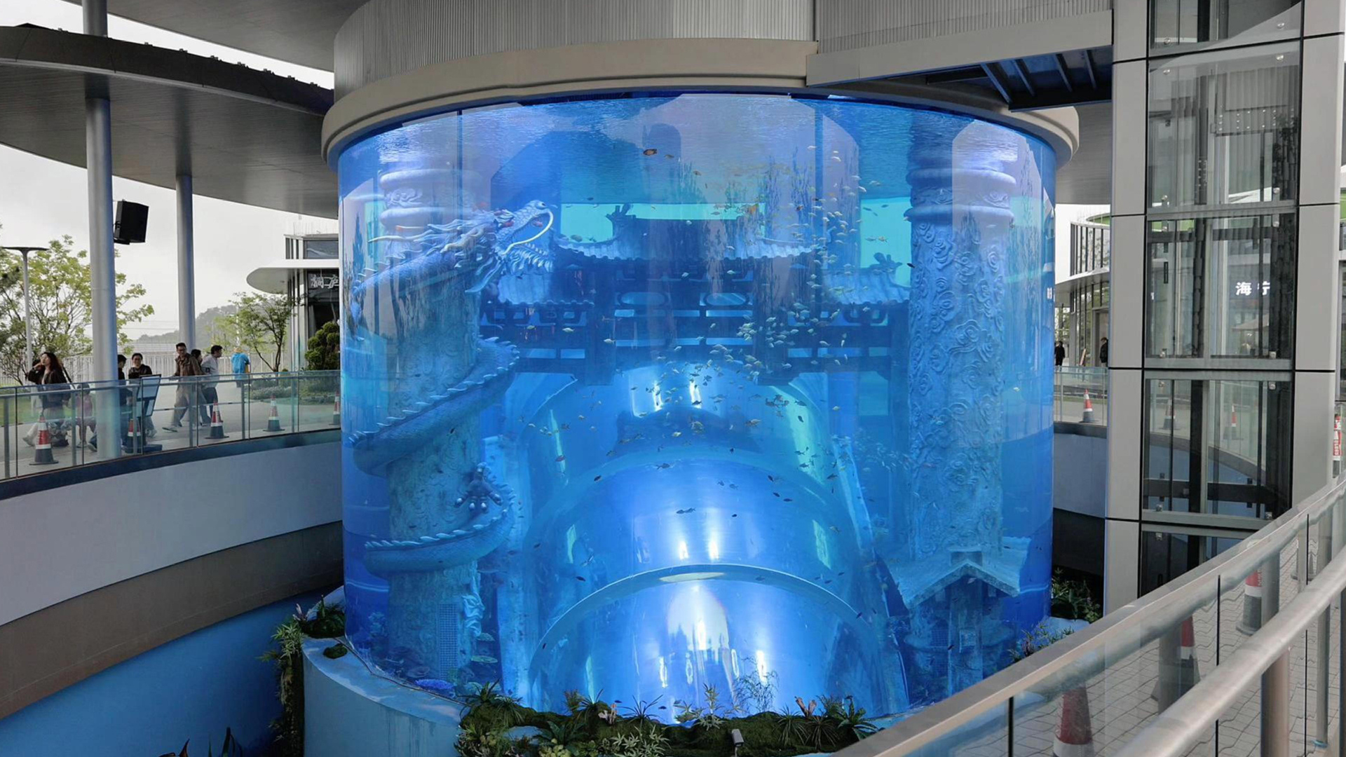 tonglu-highway-service-area-aquarium-13-m-diameter-13.5-m-high-giant-cylindrical-aquarium-acrylic-tunnel0.jpg